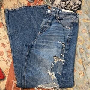 AE Baggy Wide Leg Jeans